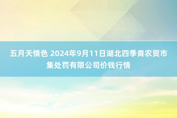 五月天情色 2024年9月11日湖北四季青农贸市集处罚有限公司价钱行情