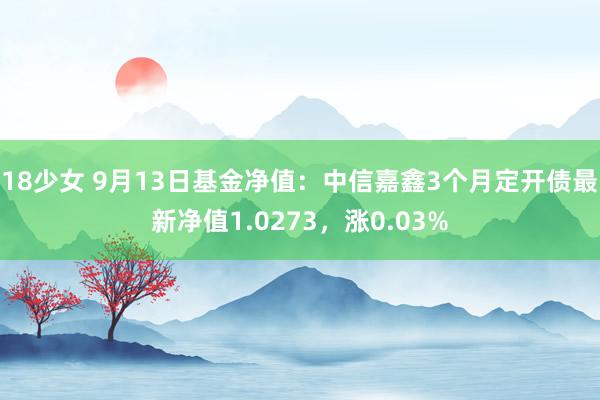 18少女 9月13日基金净值：中信嘉鑫3个月定开债最新净值1.0273，涨0.03%