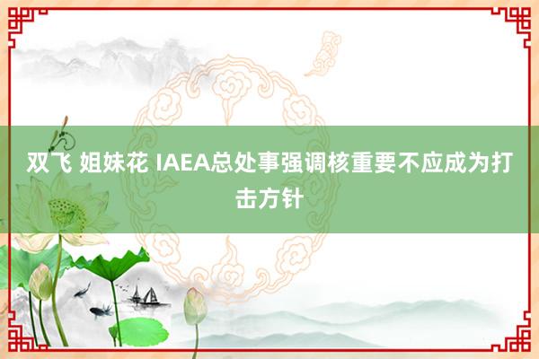 双飞 姐妹花 IAEA总处事强调核重要不应成为打击方针