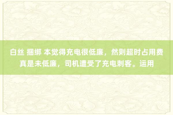 白丝 捆绑 本觉得充电很低廉，然则超时占用费真是未低廉，司机遭受了充电刺客。运用