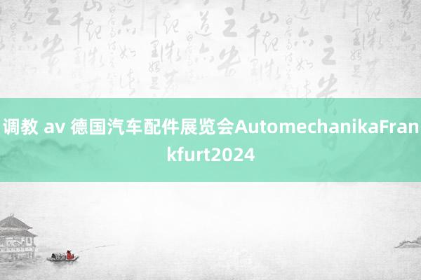 调教 av 德国汽车配件展览会AutomechanikaFrankfurt2024