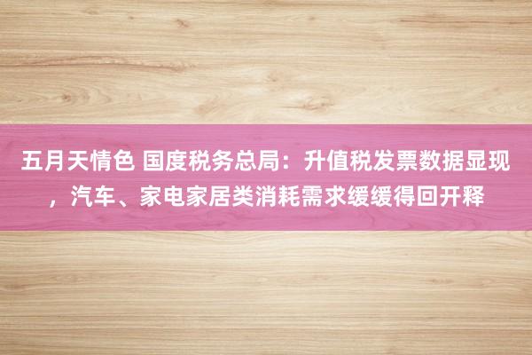 五月天情色 国度税务总局：升值税发票数据显现，汽车、家电家居类消耗需求缓缓得回开释