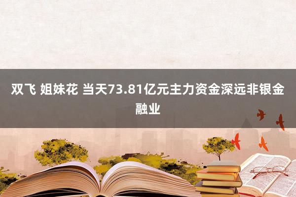 双飞 姐妹花 当天73.81亿元主力资金深远非银金融业