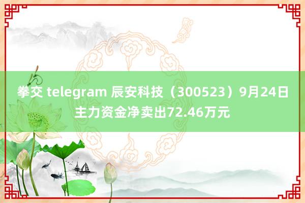 拳交 telegram 辰安科技（300523）9月24日主力资金净卖出72.46万元