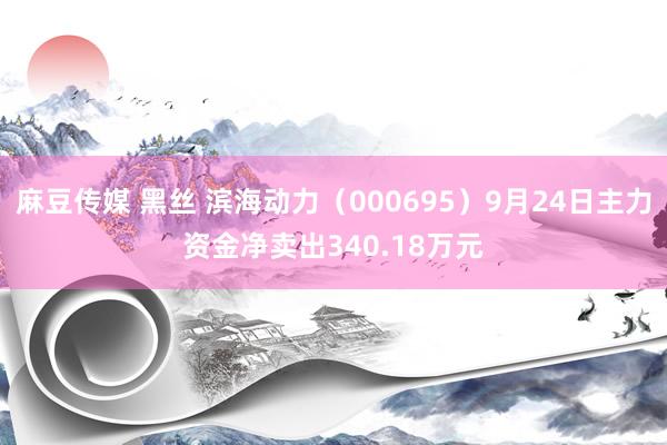 麻豆传媒 黑丝 滨海动力（000695）9月24日主力资金净卖出340.18万元