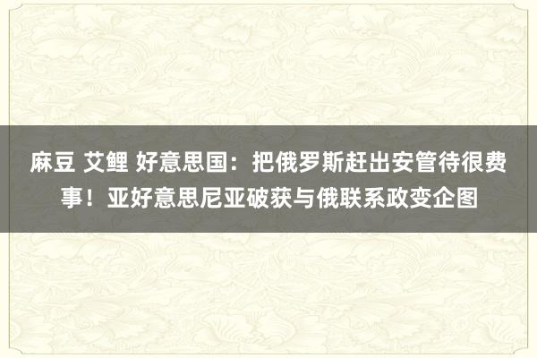 麻豆 艾鲤 好意思国：把俄罗斯赶出安管待很费事！亚好意思尼亚破获与俄联系政变企图