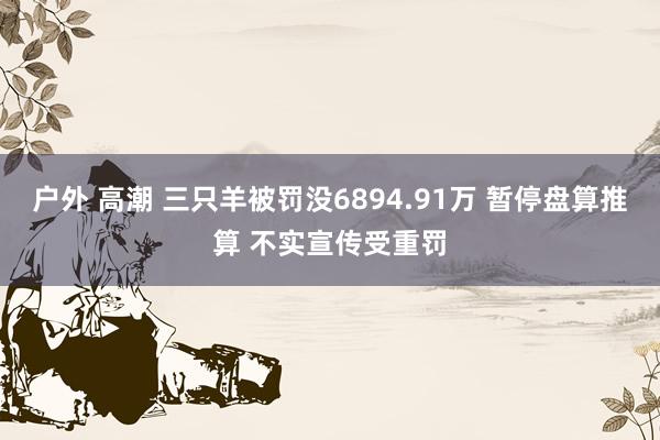 户外 高潮 三只羊被罚没6894.91万 暂停盘算推算 不实宣传受重罚