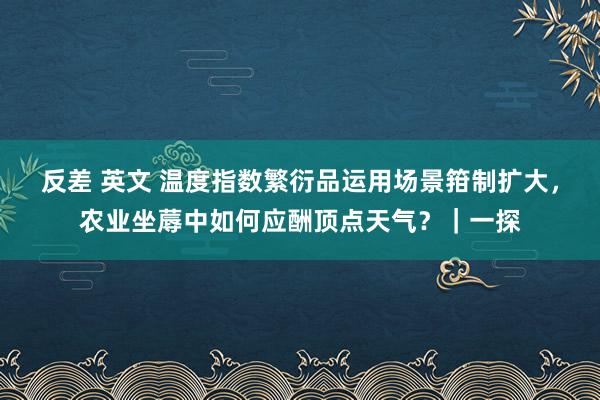 反差 英文 温度指数繁衍品运用场景箝制扩大，农业坐蓐中如何应酬顶点天气？｜一探