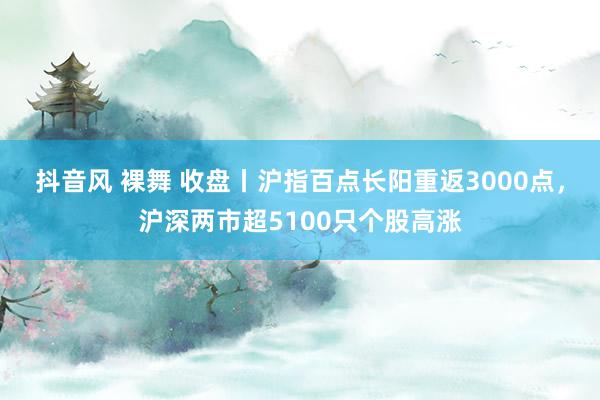 抖音风 裸舞 收盘丨沪指百点长阳重返3000点，沪深两市超5100只个股高涨