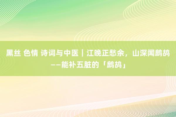 黑丝 色情 诗词与中医｜江晚正愁余，山深闻鹧鸪——能补五脏的「鹧鸪」