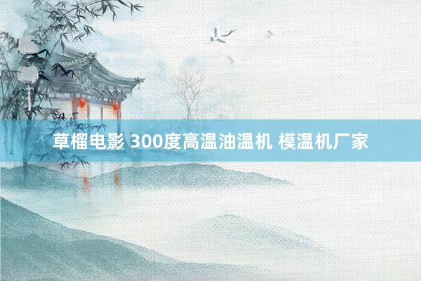 草榴电影 300度高温油温机 模温机厂家