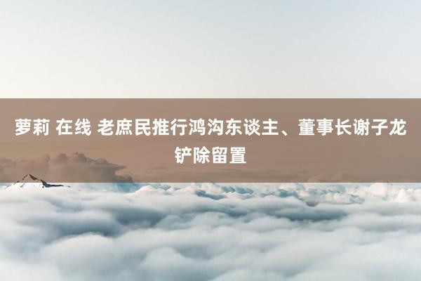 萝莉 在线 老庶民推行鸿沟东谈主、董事长谢子龙铲除留置