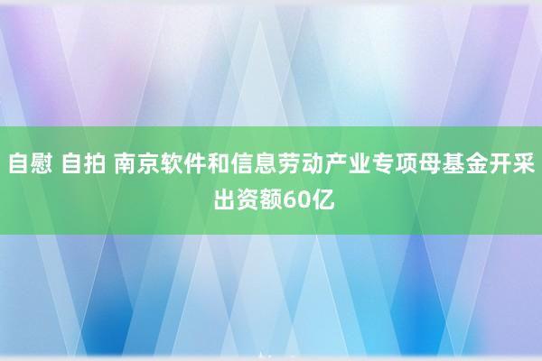 自慰 自拍 南京软件和信息劳动产业专项母基金开采 出资额60亿