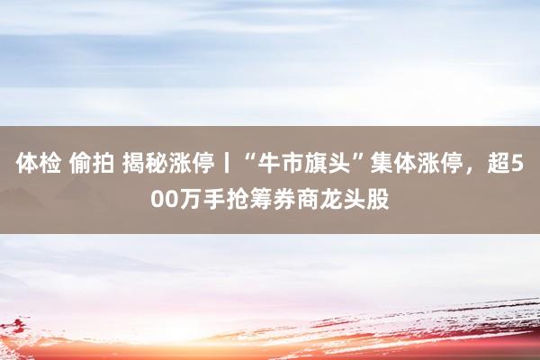 体检 偷拍 揭秘涨停丨“牛市旗头”集体涨停，超500万手抢筹券商龙头股