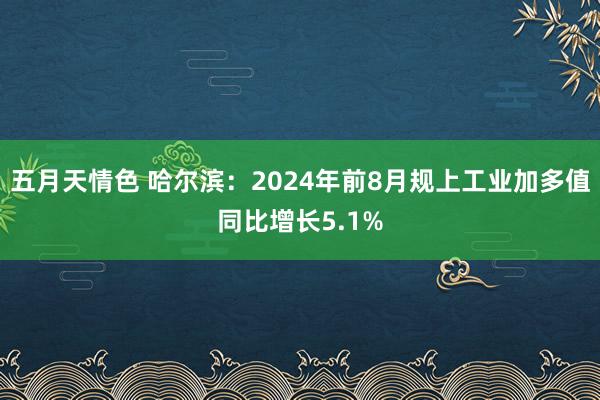 五月天情色 哈尔滨：2024年前8月规上工业加多值同比增长5.1%