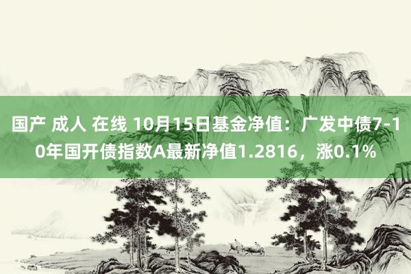 国产 成人 在线 10月15日基金净值：广发中债7-10年国开债指数A最新净值1.2816，涨0.1%