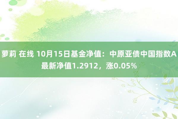 萝莉 在线 10月15日基金净值：中原亚债中国指数A最新净值1.2912，涨0.05%