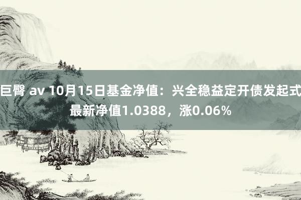 巨臀 av 10月15日基金净值：兴全稳益定开债发起式最新净值1.0388，涨0.06%