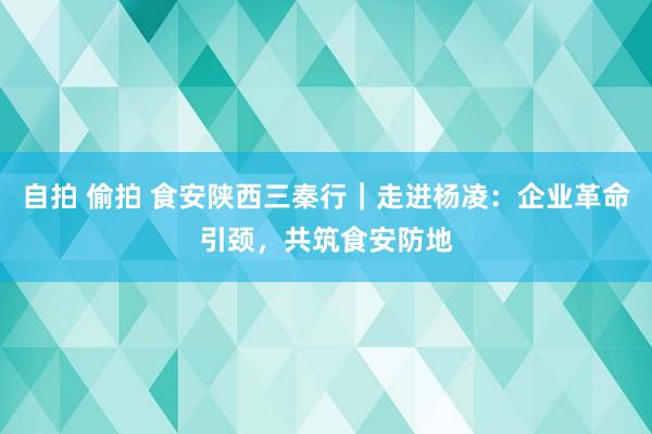 自拍 偷拍 食安陕西三秦行｜走进杨凌：企业革命引颈，共筑食安防地