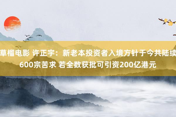 草榴电影 许正宇：新老本投资者入境方针于今共陆续600宗苦求 若全数获批可引资200亿港元