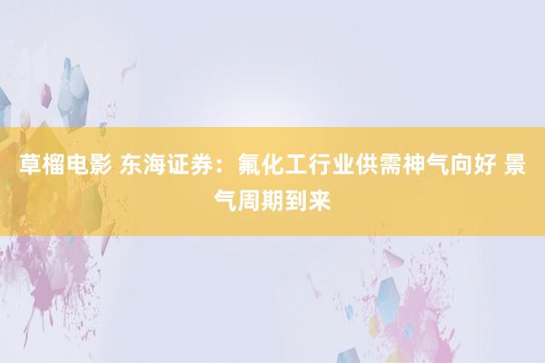 草榴电影 东海证券：氟化工行业供需神气向好 景气周期到来