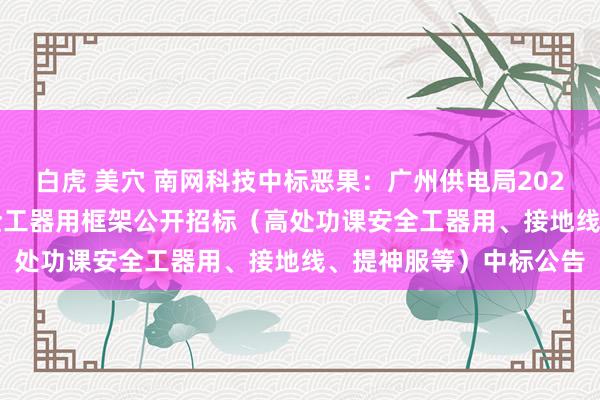 白虎 美穴 南网科技中标恶果：广州供电局2024至2026年第一批安全工器用框架公开招标（高处功课安全工器用、接地线、提神服等）中标公告