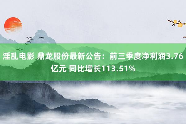 淫乱电影 鼎龙股份最新公告：前三季度净利润3.76亿元 同比增长113.51%