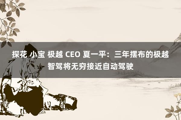 探花 小宝 极越 CEO 夏一平：三年摆布的极越智驾将无穷接近自动驾驶