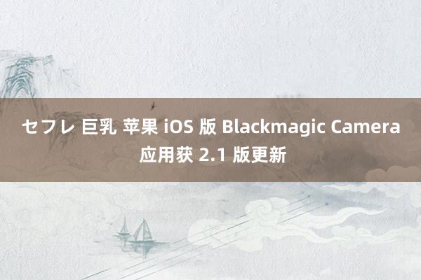 セフレ 巨乳 苹果 iOS 版 Blackmagic Camera 应用获 2.1 版更新