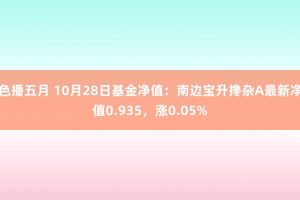 色播五月 10月28日基金净值：南边宝升搀杂A最新净值0.935，涨0.05%