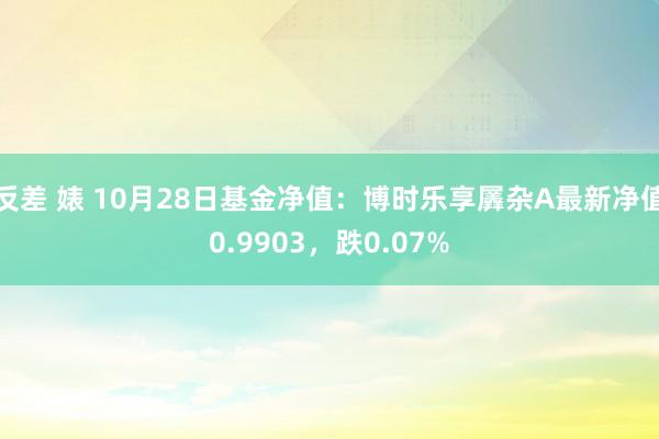 反差 婊 10月28日基金净值：博时乐享羼杂A最新净值0.9903，跌0.07%