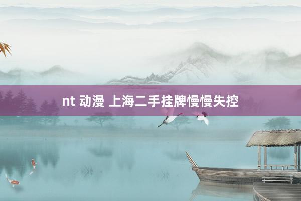 nt 动漫 上海二手挂牌慢慢失控