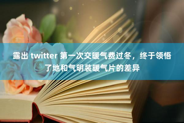 露出 twitter 第一次交暖气费过冬，终于领悟了地和气明装暖气片的差异