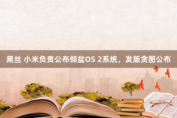 黑丝 小米负责公布倾盆OS 2系统，发版贪图公布