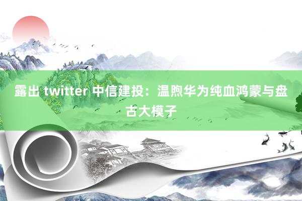 露出 twitter 中信建投：温煦华为纯血鸿蒙与盘古大模子