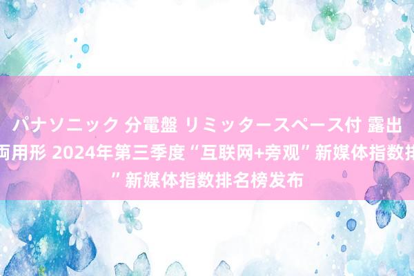 パナソニック 分電盤 リミッタースペース付 露出・半埋込両用形 2024年第三季度“互联网+旁观”新媒体指数排名榜发布