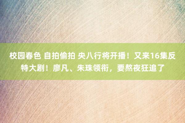 校园春色 自拍偷拍 央八行将开播！又来16集反特大剧！廖凡、朱珠领衔，要熬夜狂追了