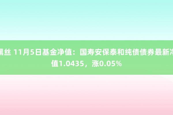 黑丝 11月5日基金净值：国寿安保泰和纯债债券最新净值1.0435，涨0.05%