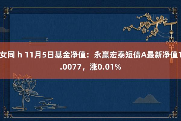 女同 h 11月5日基金净值：永赢宏泰短债A最新净值1.0077，涨0.01%