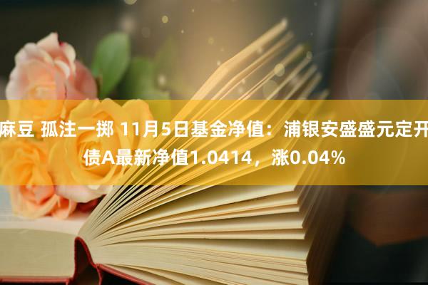 麻豆 孤注一掷 11月5日基金净值：浦银安盛盛元定开债A最新净值1.0414，涨0.04%