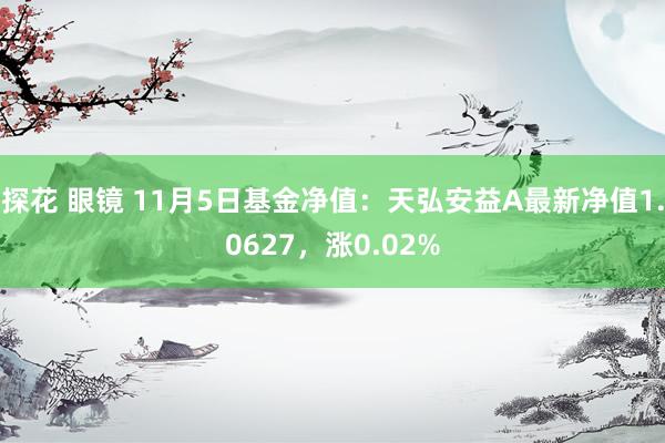 探花 眼镜 11月5日基金净值：天弘安益A最新净值1.0627，涨0.02%