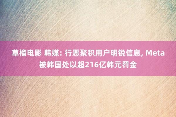 草榴电影 韩媒: 行恶聚积用户明锐信息， Meta被韩国处以超216亿韩元罚金