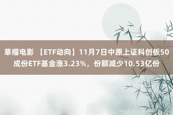 草榴电影 【ETF动向】11月7日中原上证科创板50成份ETF基金涨3.23%，份额减少10.53亿份