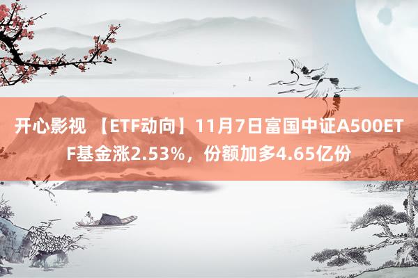 开心影视 【ETF动向】11月7日富国中证A500ETF基金涨2.53%，份额加多4.65亿份