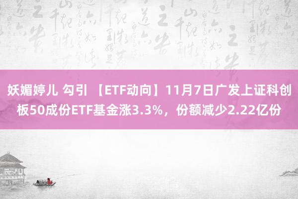 妖媚婷儿 勾引 【ETF动向】11月7日广发上证科创板50成份ETF基金涨3.3%，份额减少2.22亿份