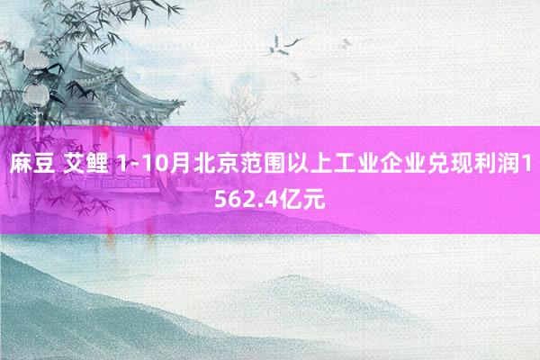 麻豆 艾鲤 1-10月北京范围以上工业企业兑现利润1562.4亿元