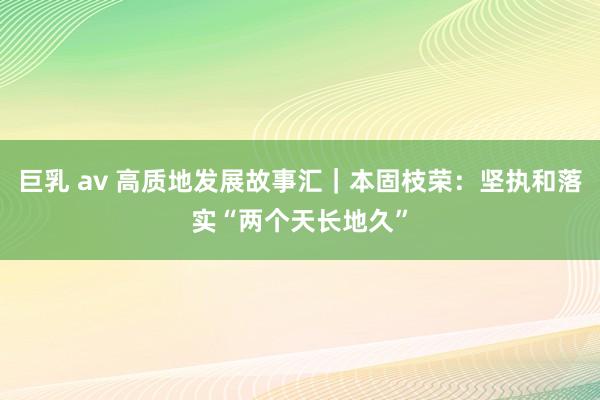 巨乳 av 高质地发展故事汇｜本固枝荣：坚执和落实“两个天长地久”