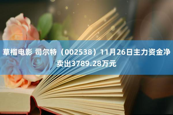 草榴电影 司尔特（002538）11月26日主力资金净卖出3789.28万元