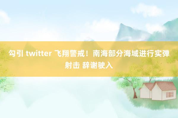 勾引 twitter 飞翔警戒！南海部分海域进行实弹射击 辞谢驶入