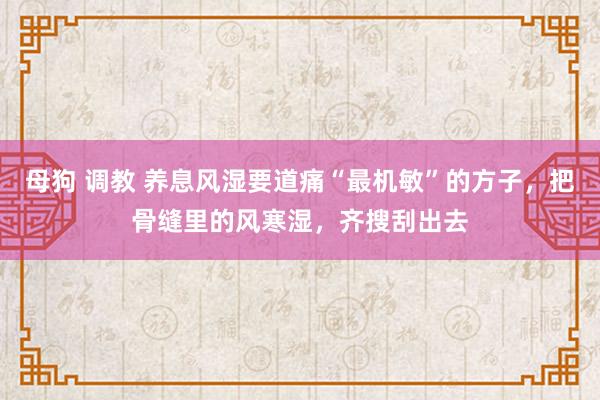 母狗 调教 养息风湿要道痛“最机敏”的方子，把骨缝里的风寒湿，齐搜刮出去